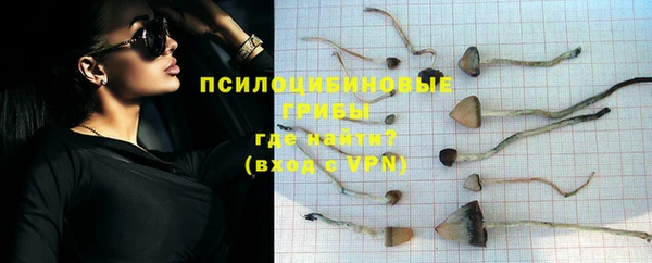мет Баксан
