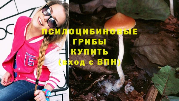 spice Балабаново