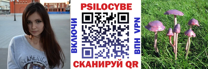 Псилоцибиновые грибы ЛСД мориарти формула Цивильск KRAKEN ССЫЛКА